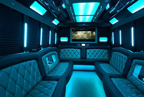 party bus rental for 28 Passenger
